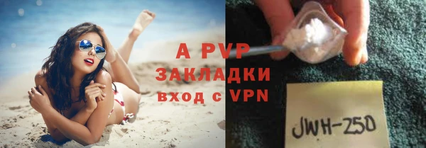 сатива Балахна