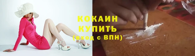 кокс Арсеньев