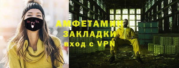 сатива Балахна